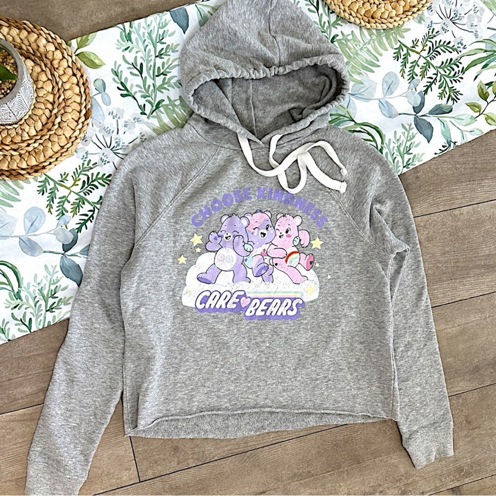 Grayson Threads Care Bears Cropped Hoodie Sweatshirt Women’s Small Choose Kind